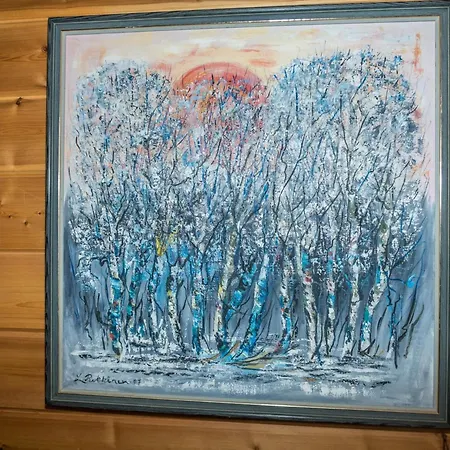 Vuolkuma A By Interhome 萨利色尔卡